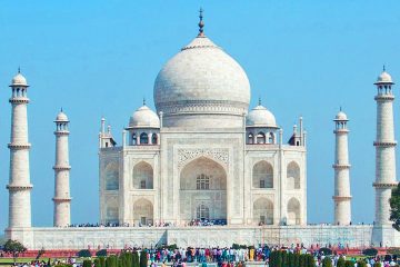Taj & Tigers Solo Tour