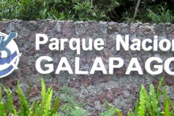 AFS Galapagos Solo travel